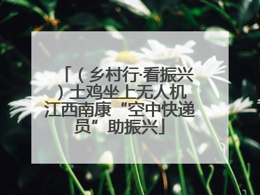 （乡村行·看振兴）土鸡坐上无人机 江西南康“空中快递员”助振兴