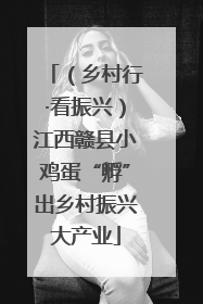（乡村行·看振兴）江西赣县小鸡蛋“孵”出乡村振兴大产业