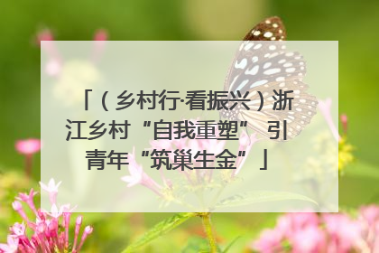 （乡村行·看振兴）浙江乡村“自我重塑” 引青年“筑巢生金”