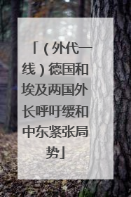 （外代一线）德国和埃及两国外长呼吁缓和中东紧张局势