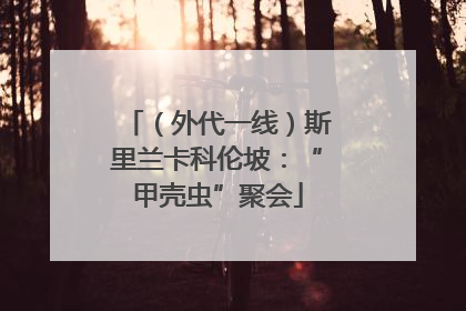 （外代一线）斯里兰卡科伦坡：“甲壳虫”聚会