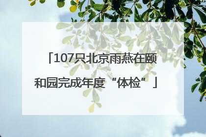 107只北京雨燕在颐和园完成年度“体检”