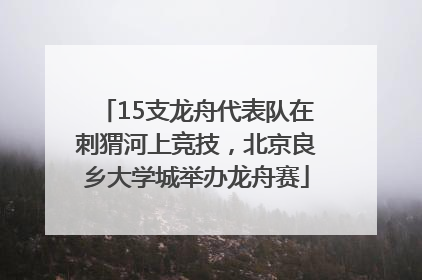 15支龙舟代表队在刺猬河上竞技，北京良乡大学城举办龙舟赛