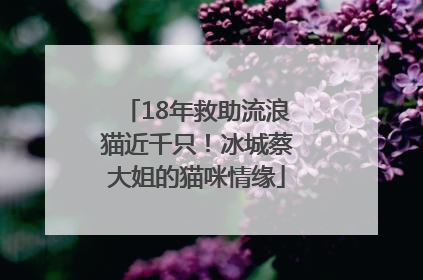18年救助流浪猫近千只！冰城蔡大姐的猫咪情缘