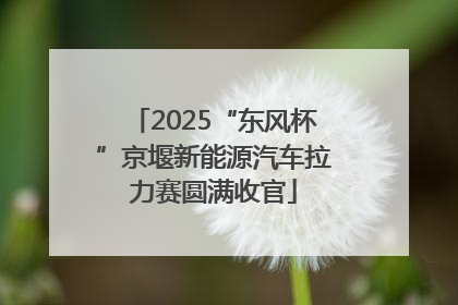 2025“东风杯”京堰新能源汽车拉力赛圆满收官