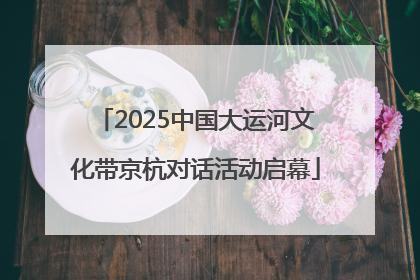 2025中国大运河文化带京杭对话活动启幕