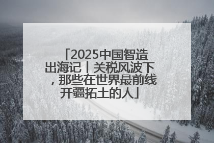 2025中国智造出海记丨关税风波下，那些在世界最前线开疆拓土的人