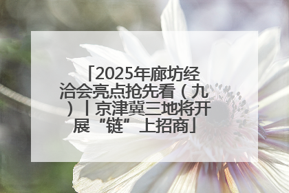 2025年廊坊经洽会亮点抢先看（九）丨京津冀三地将开展“链”上招商