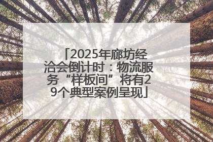 2025年廊坊经洽会倒计时：物流服务“样板间”将有29个典型案例呈现