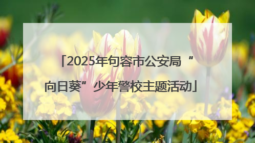 2025年句容市公安局“向日葵”少年警校主题活动