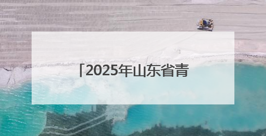 2025年山东省青少年成语经典故事会聊城选拔赛开始报名
