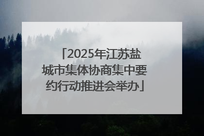 2025年江苏盐城市集体协商集中要约行动推进会举办