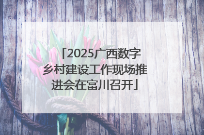 2025广西数字乡村建设工作现场推进会在富川召开