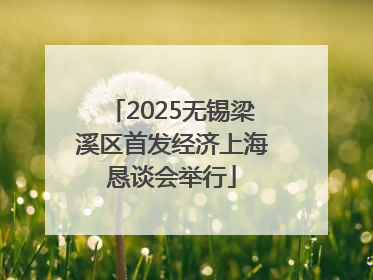 2025无锡梁溪区首发经济上海恳谈会举行