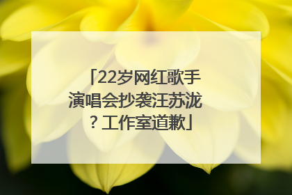 22岁网红歌手演唱会抄袭汪苏泷？工作室道歉