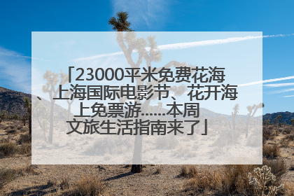 23000平米免费花海、上海国际电影节、花开海上免票游......本周文旅生活指南来了