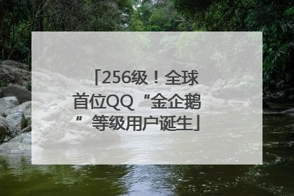 256级！全球首位QQ“金企鹅”等级用户诞生