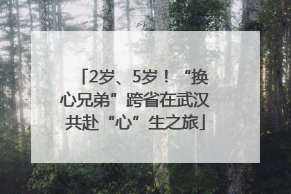 2岁、5岁！“换心兄弟”跨省在武汉共赴“心”生之旅