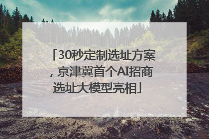 30秒定制选址方案，京津冀首个AI招商选址大模型亮相