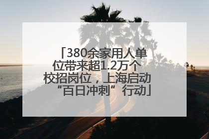 380余家用人单位带来超1.2万个校招岗位，上海启动“百日冲刺”行动