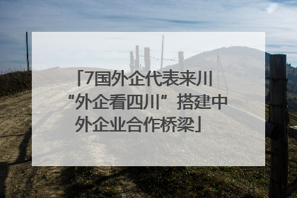 7国外企代表来川 “外企看四川”搭建中外企业合作桥梁