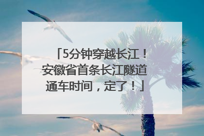 5分钟穿越长江！安徽省首条长江隧道通车时间，定了！