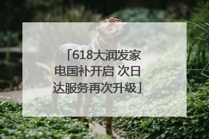 618大润发家电国补开启 次日达服务再次升级