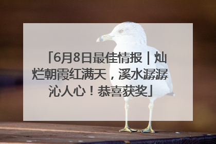 6月8日最佳情报｜灿烂朝霞红满天，溪水潺潺沁人心！恭喜获奖