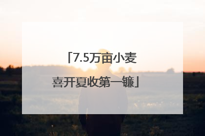 7.5万亩小麦喜开夏收第一镰