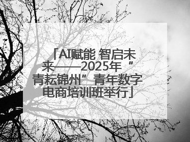 AI赋能 智启未来——2025年“青耘锦州”青年数字电商培训班举行