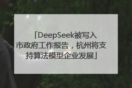 DeepSeek被写入市政府工作报告，杭州将支持算法模型企业发展
