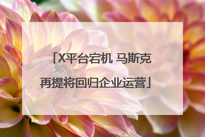 X平台宕机 马斯克再提将回归企业运营