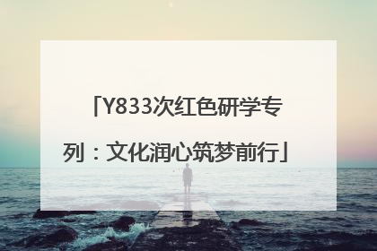 Y833次红色研学专列：文化润心筑梦前行